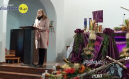 Palma w darze od seniorów