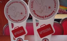 Pierwsza pomoc – nasz młodzież wie, jak to robić 