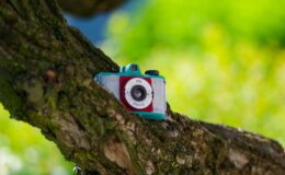 W II Dni Fotografii w Działdowie angażuje się i młodzież