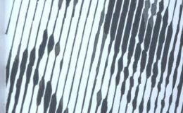 W II Dni Fotografii w Działdowie angażuje się i młodzież