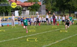 Działdowska Olimpiada Przedszkolaków 2025 – tak rywalizowali najmłodsi 