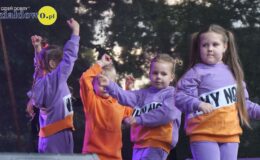 Występy i grill na zakończenie roku kulturalnego 