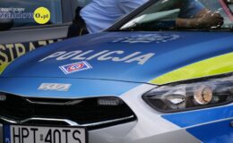 napis policja na masce samochodu