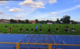 na murawie działdowskiego stadionu ćwiczy grupa zawodników / fot. MKS