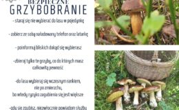 zdjęcia grzybów i krótka informacja na temat bezpiecznego grzybobrania