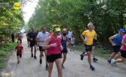Urodzinowy parkrun Działdowo