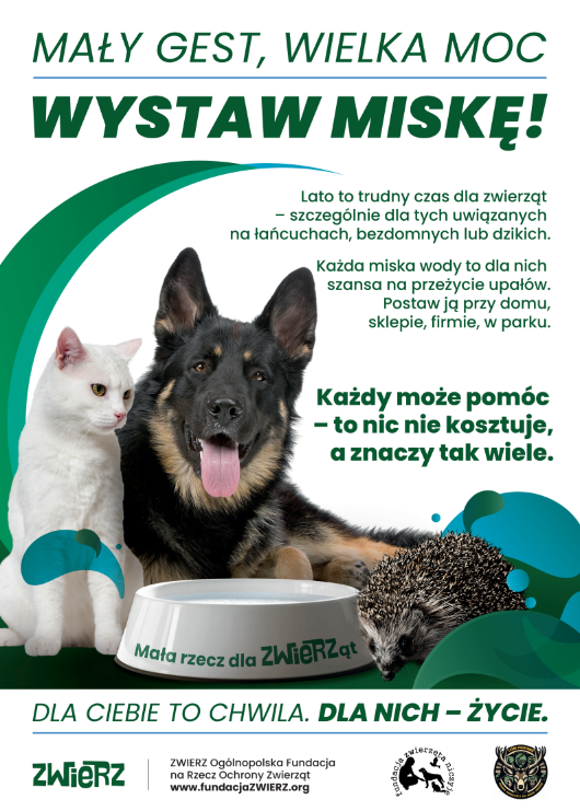 Mały gest, wielka moc – wystaw miskę! Mały gest, wielka moc – wystaw miskę!