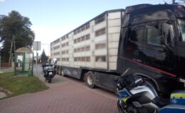 kontrolowane volvo i policyjne motocykle