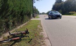 ower leżący w rowie i samochód na drodze w Iłowie-Osadzie