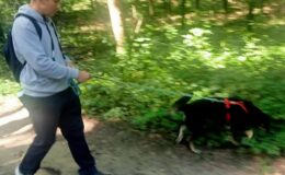 Weselne prezenty trafiły do Stowarzyszenia Psia Przystań w Lidzbarku