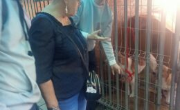 Weselne prezenty trafiły do Stowarzyszenia Psia Przystań w Lidzbarku