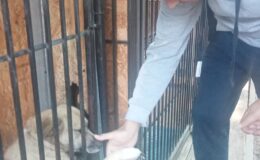 Weselne prezenty trafiły do Stowarzyszenia Psia Przystań w Lidzbarku