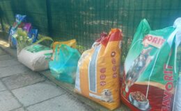 Weselne prezenty trafiły do Stowarzyszenia Psia Przystań w Lidzbarku