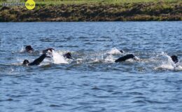 Hoffer Triathlon Działdowo 2025