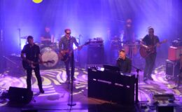 „Sztywny Pal Azji” wystąpił w MDK 