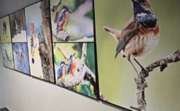 „Znikający błękit” – wernisaż wystawy fotograficznej Marii Wilkowskiej