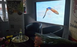 „Znikający błękit” – wernisaż wystawy fotograficznej Marii Wilkowskiej