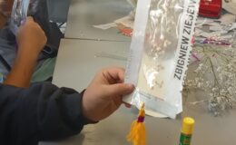 Warsztaty przyrodniczo-historyczne – to niezwykła okazja do poszerzenia wiedzy o otaczającej przyrodzie, historii regionu i umiejętności pracy zespołowej