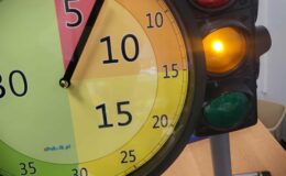 Hasło Planu Daltońskiego „Pomóż mi zrobić to samemu”