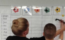 Hasło Planu Daltońskiego „Pomóż mi zrobić to samemu”