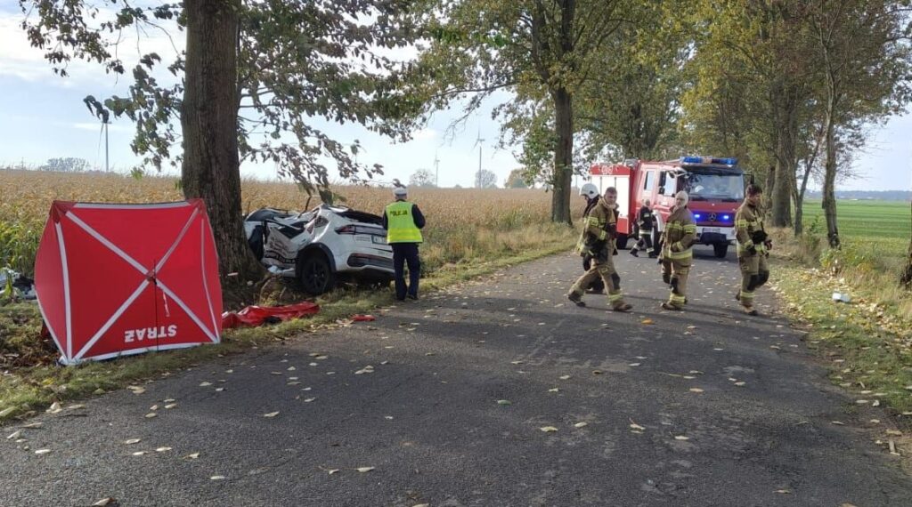 Śmiertelny wypadek drogowy w Gminie Płośnica samochód po zderzeniu z drzewem i służby ratunkowe na miejscu wypadku /fot. policja