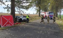 samochód po zderzeniu z drzewem i służby ratunkowe na miejscu wypadku /fot. policja