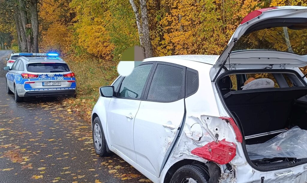 Weekend na drogach auto po kolizji w Krasnołące i policyjny radiowóz /fot. policja