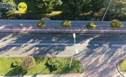 Ulica Polna po remoncie oddana oficjalnie do użytku