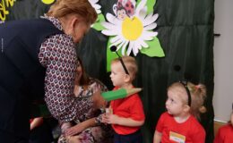 „Biedronki” pasowane na przedszkolaków