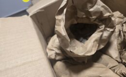 Materiał z wykopalisk na zamku po ponad 40. latach powrócił do Działdowa