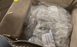 Materiał z wykopalisk na zamku po ponad 40. latach powrócił do Działdowa