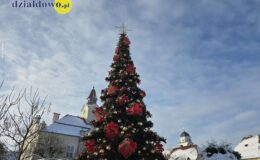 Działdowo ma już w centrum piękną choinkę