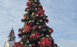 Działdowo ma już w centrum piękną choinkę