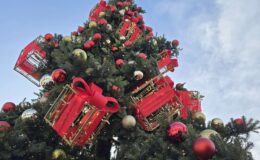 Działdowo ma już w centrum piękną choinkę