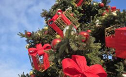 Działdowo ma już w centrum piękną choinkę