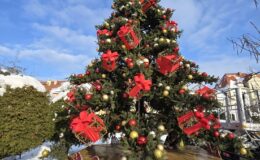 Działdowo ma już w centrum piękną choinkę