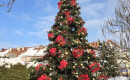 Działdowo ma już w centrum piękną choinkę
