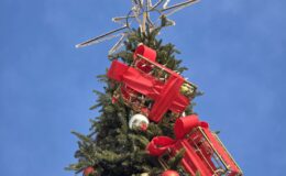 Działdowo ma już w centrum piękną choinkę