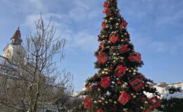 Działdowo ma już w centrum piękną choinkę