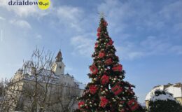 Działdowo ma już w centrum piękną choinkę