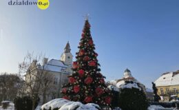 Działdowo ma już w centrum piękną choinkę