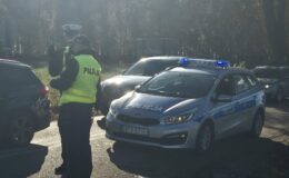 widać stojących dwóch policjantów na drodze, radiowóz i samochody /fot. policja