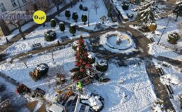 Działdowo ma już w centrum piękną choinkę