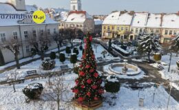 Działdowo ma już w centrum piękną choinkę