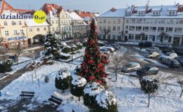 Działdowo ma już w centrum piękną choinkę