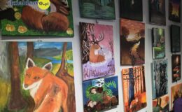 „Wędrując leśnymi ścieżkami” – wystawa prac młodych artystów w MBP