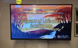 „Wędrując leśnymi ścieżkami” – wystawa prac młodych artystów w MBP