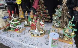 Działdowski Jarmark Świąteczny 2025