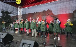 Działdowski Jarmark Świąteczny 2025
