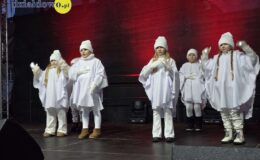 Działdowski Jarmark Świąteczny 2025